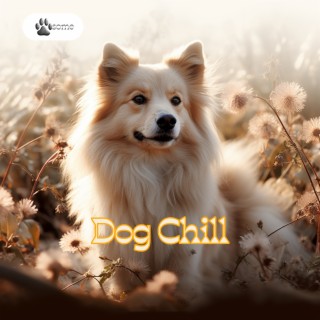 Dog Chill: No Fading in the Relaxation