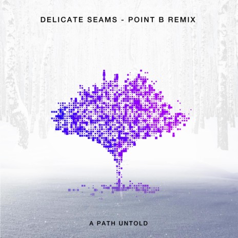 Delicate Seams (Point B Remix) ft. Point B | Boomplay Music