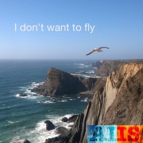 I don't want to fly | Boomplay Music