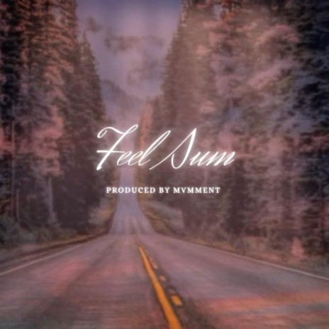Feel Sum | Boomplay Music