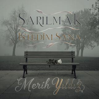 Sarılmak İstedim Sana