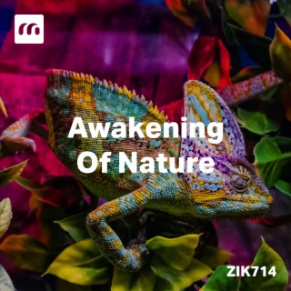 Awakening Of Nature