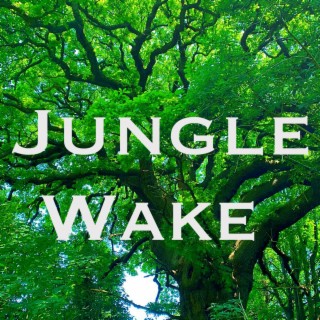 Jungle Wake