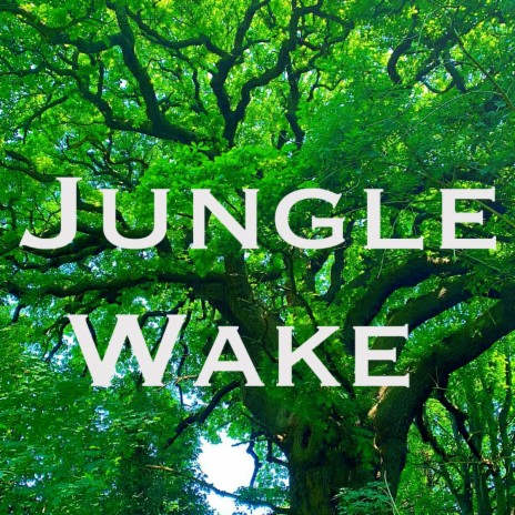 Jungle Wake | Boomplay Music