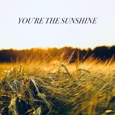 You're The Sunshine | Boomplay Music