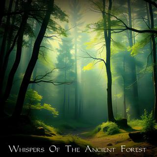 Whispers Of The Ancient Forest