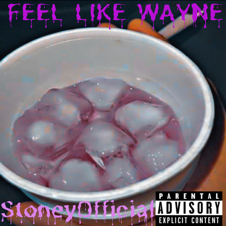 Feel Like Wayne | Boomplay Music