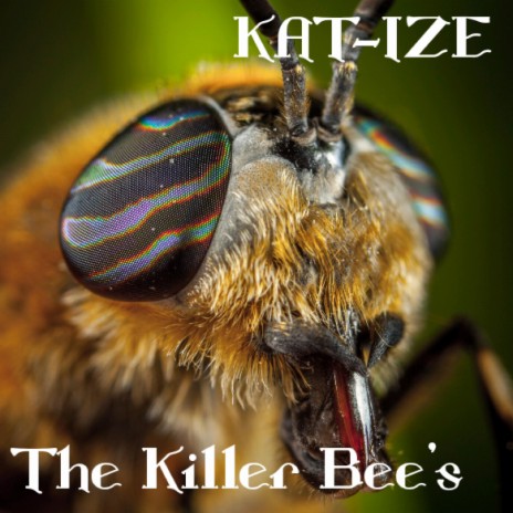 The Killer Bee's | Boomplay Music