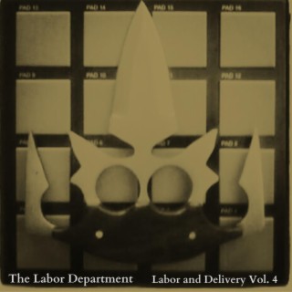 Labor and Delivery, Vol. 4