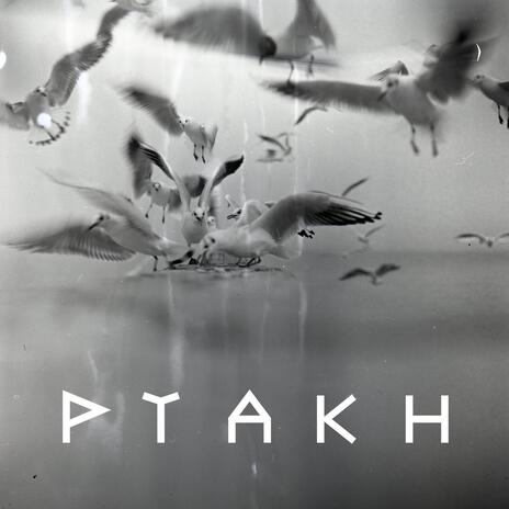 Ptakh | Boomplay Music