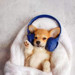 Puppy Pamper: Relaxing and Healing Music for Your Dog's Spa Day