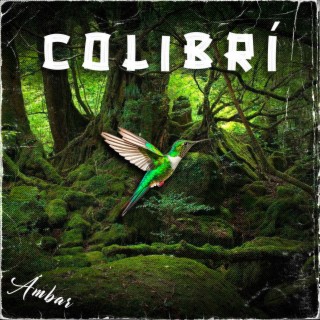 Colibrí