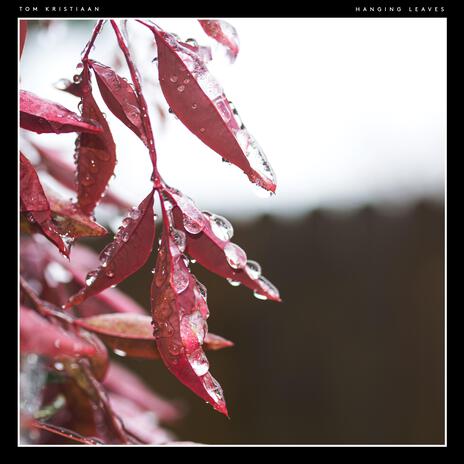 Hanging Leaves | Boomplay Music