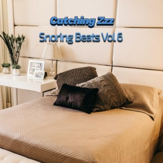 Snoring Beats, Vol. 6