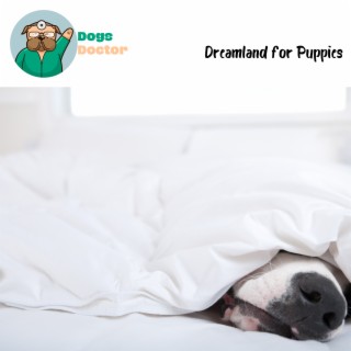 Dreamland for Puppies: Sleepy Canine Lullabies