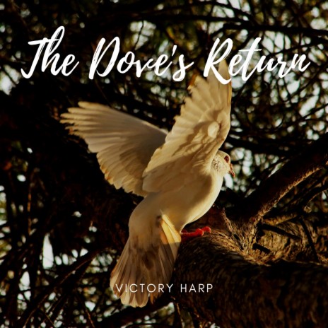 The Dove's Return