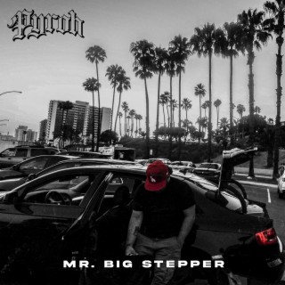 Mr.Bigstepper