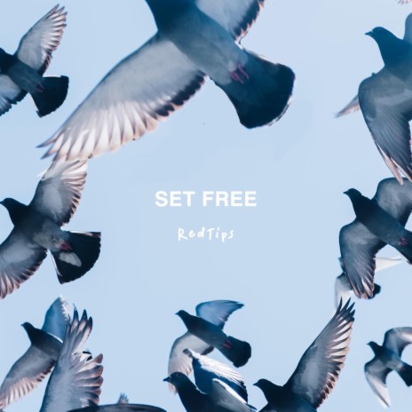 Set Free | Boomplay Music