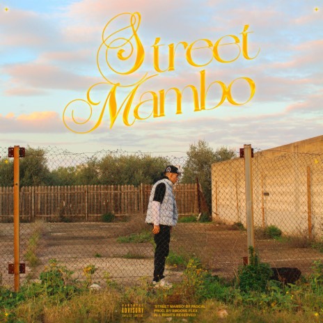 STREET MAMBO | Boomplay Music