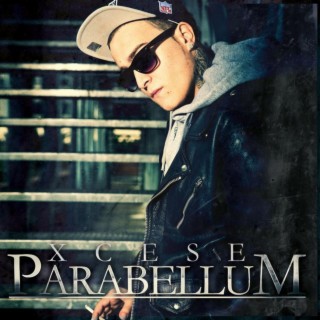 Parabellum