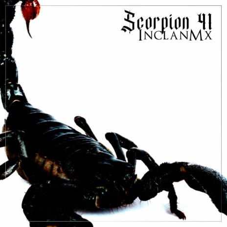 Scorpion 41