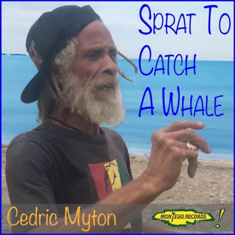 Sprat to Catch a Whale | Boomplay Music