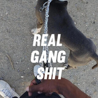 Real Gang Shit