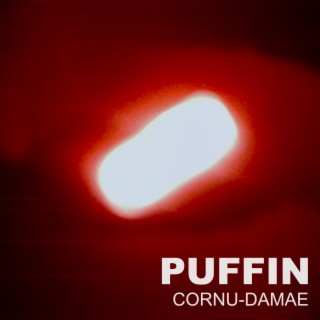 Cornu-Damae