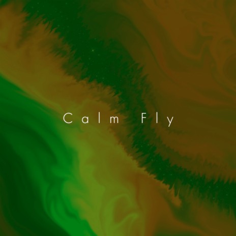 Calm Fly | Boomplay Music
