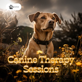 Canine Therapy Sessions: Music for a Happy Hound