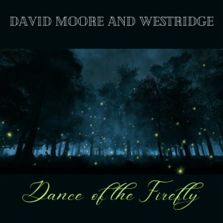 Dance Of The Firefly