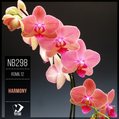 Harmony (Original Mix) | Boomplay Music