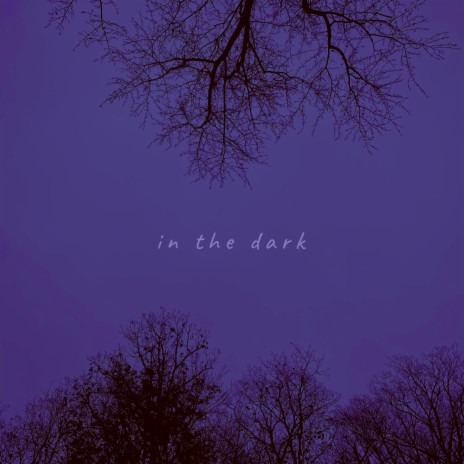 in the dark | Boomplay Music