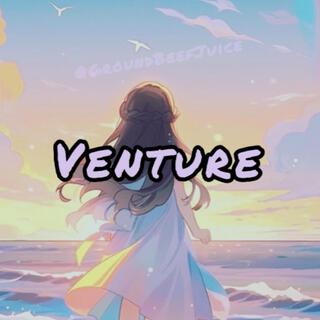 Venture