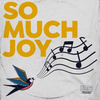 So Much Joy lyrics | Boomplay Music