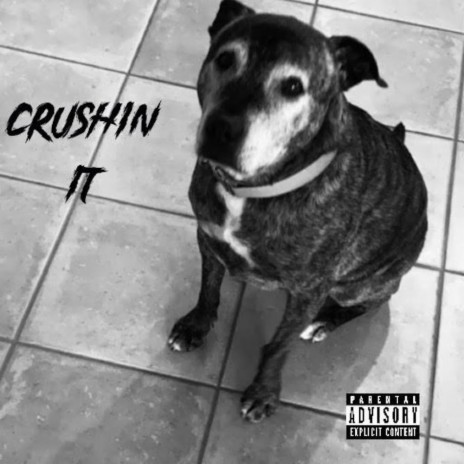 CRUSHIN IT | Boomplay Music