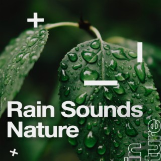 Rain Sounds Nature