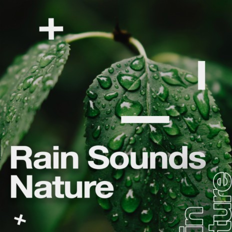 Night Rain Droplets ft. Nature Sounds