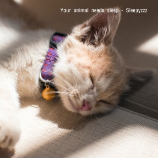 Your Animal Needs Sleep