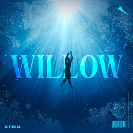 Willow | Boomplay Music