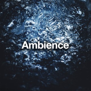 Ambience