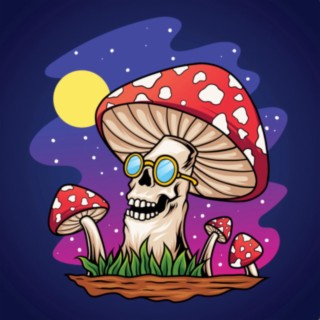 Shrooms R Us