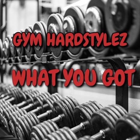 WHAT YOU GOT (HARDSTYLE MOTIVATION)