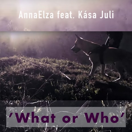 What or Who ft. Kása Juli | Boomplay Music