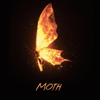 Moth lyrics | Boomplay Music