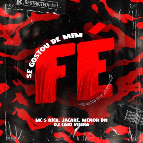 Se Gostou de Mim Fé ft. dj caio vieira, mc menor dn & Mc Jacaré | Boomplay Music