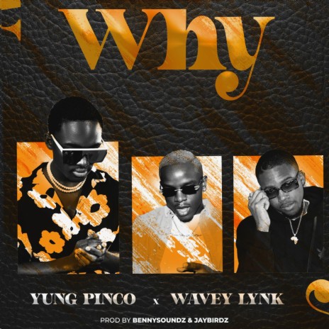 Why ft. Wavey Lynk | Boomplay Music
