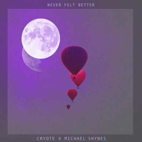 Never Felt Better (Instrumental Version) ft. Michael Shynes | Boomplay Music