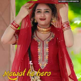 Mewat Ke Hero