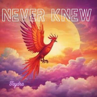 Never Knew lyrics | Boomplay Music